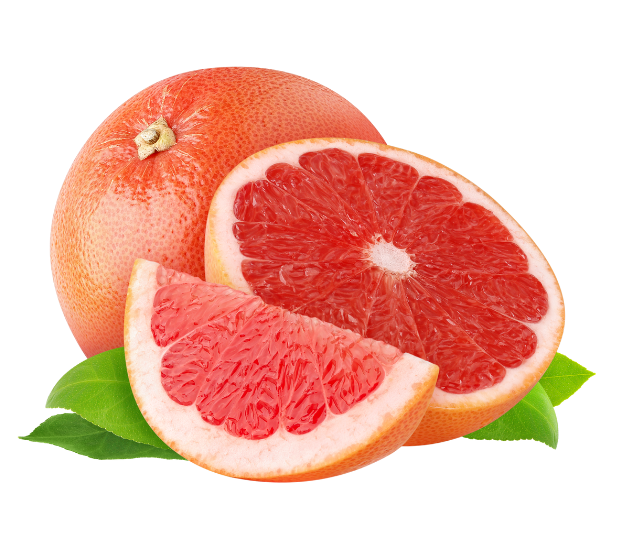 Salty Dog grapefruit cocktail